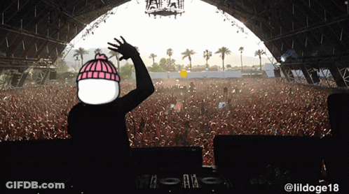DJ At Music Festival With LilDoge18 GIF