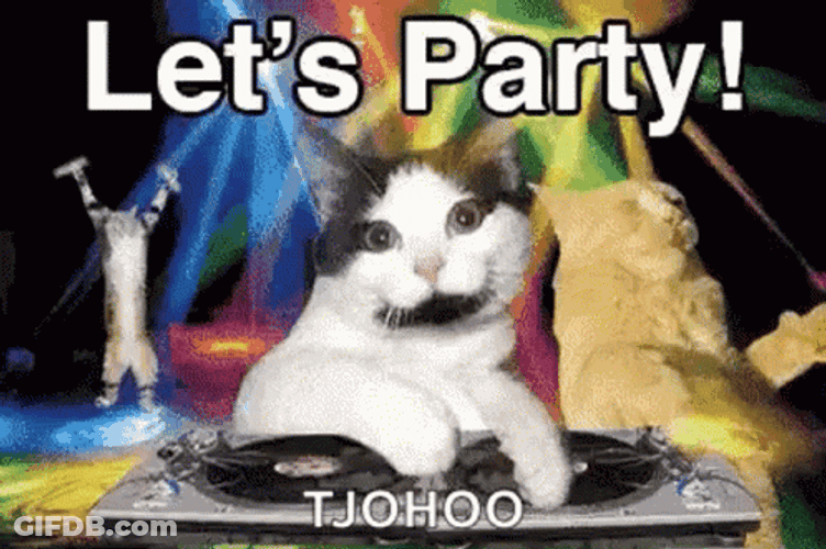 DJ Cat Dance Lets Party GIF