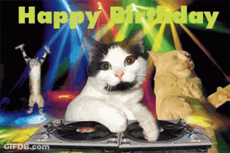 DJ Cat Playing Birthday Songs GIF