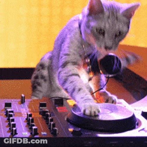 DJ Cat Scratching The Turntable GIF