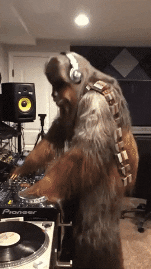 DJ Chewbacca Pumping To The Music GIF