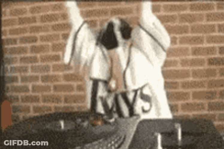 DJ Cool Cat Rap GIF