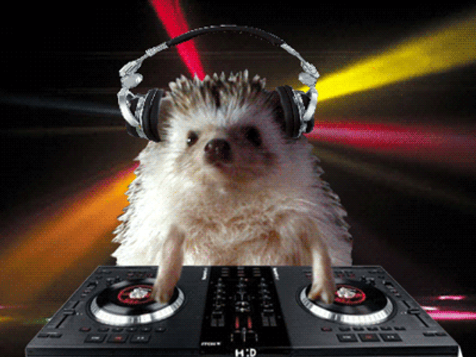 DJ Hedgehog Scratching Vinyl Meme GIF