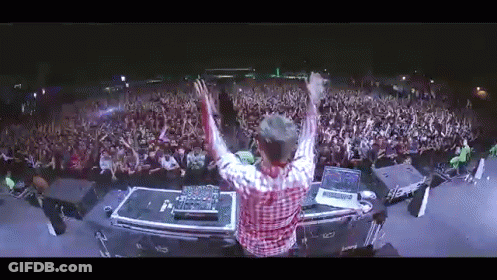 DJ In Front Of Crowd At Concert GIF