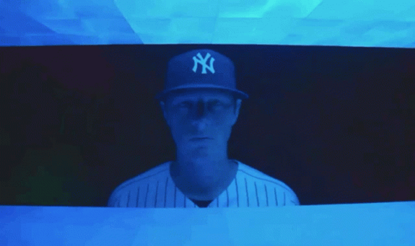 Dj Lemahieu Bat GIF