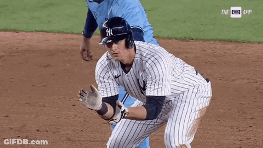 Dj Lemahieu Clap Cheering GIF