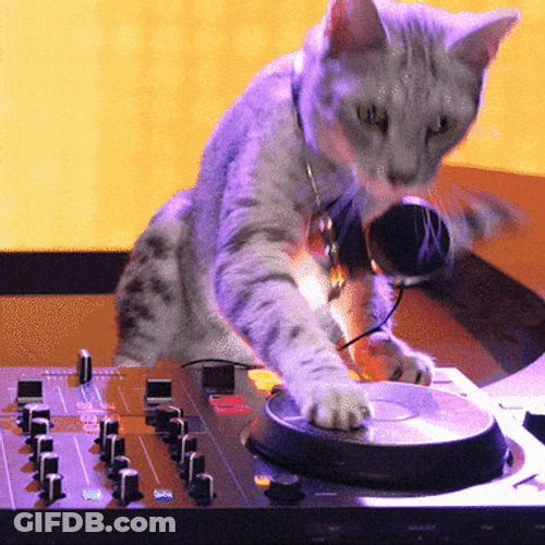 DJ Party Cat GIF
