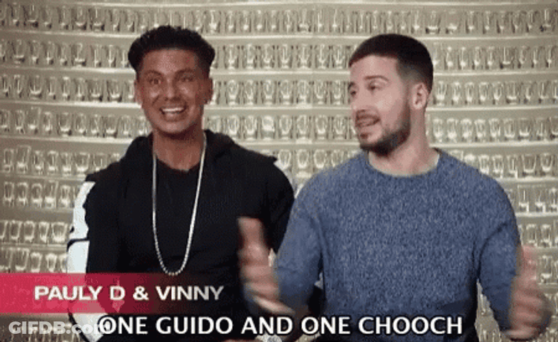 DJ Pauly D And Vinny Guadagnino GIF