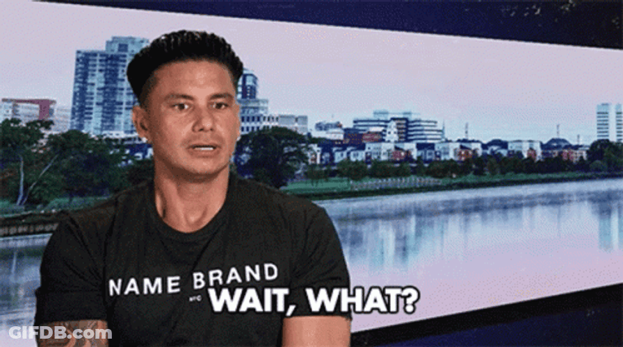 DJ Pauly D Says Wait What GIF