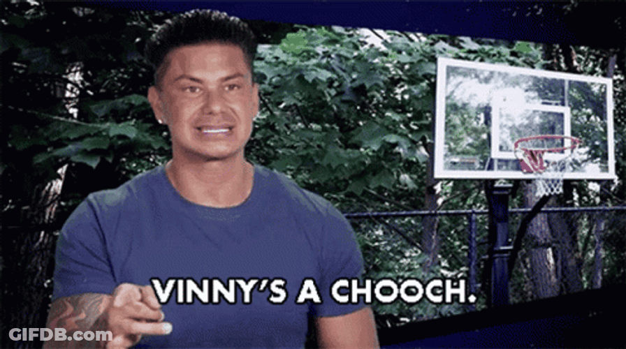 DJ Pauly D Vinny Guadagnino Is A Chooch GIF