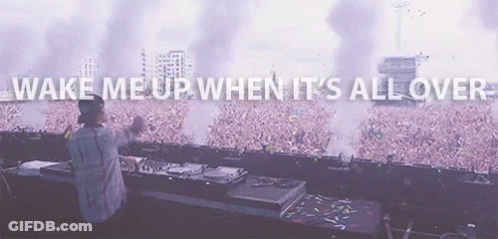 DJ Playing Music In Front Of Crowd Saying Wake Me Up When It's All Over GIF