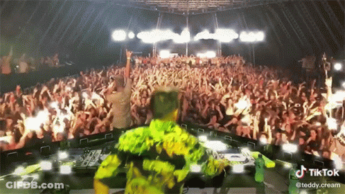 DJ Playing Music In Front Of Crowd With TikTok Watermark GIF