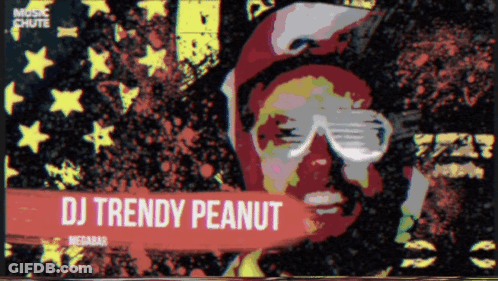 DJ Trendy Peanut GIF