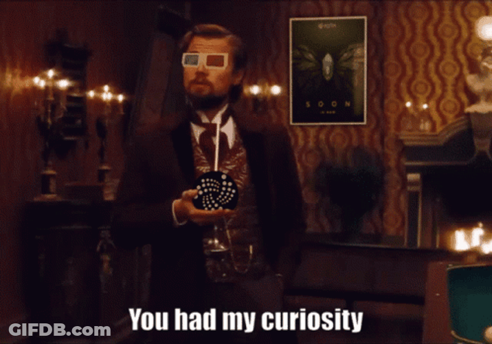 Django Leonardo DiCaprio You Had My Curiosity GIF