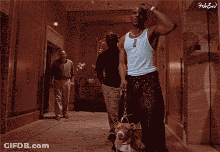 Dmx Hip Hop Rapper Holding Dog GIF