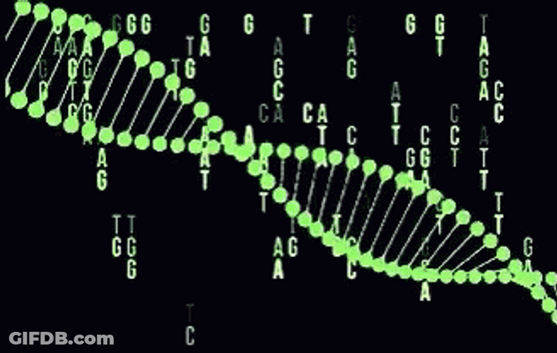DNA Code Genetic Sequence Matrix GIF