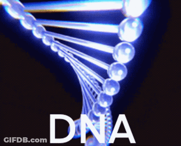 Dna GIF