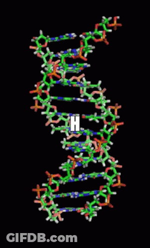 DNA Molecule Model With Letter H GIF
