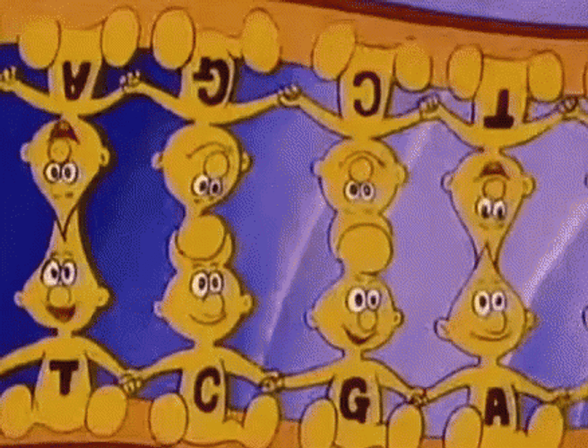 DNA Once Upon A Time Life 1987 Animation GIF