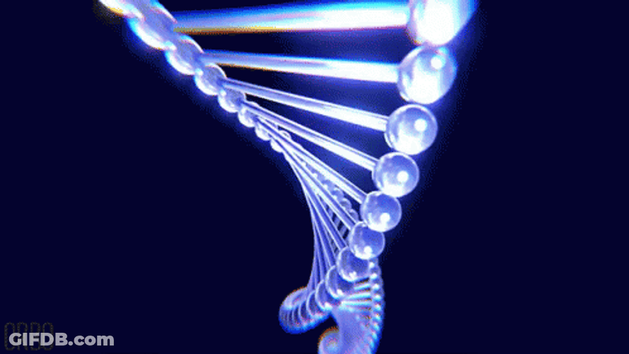 DNA Strand Genetics Loop GIF