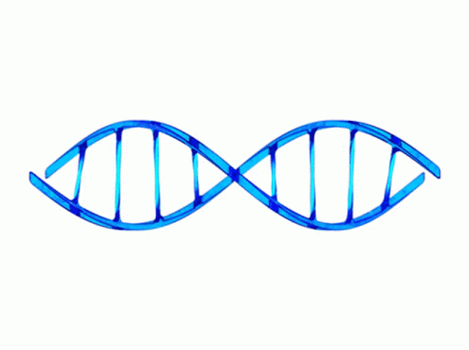 DNA Strand Matthew Butler Animation GIF