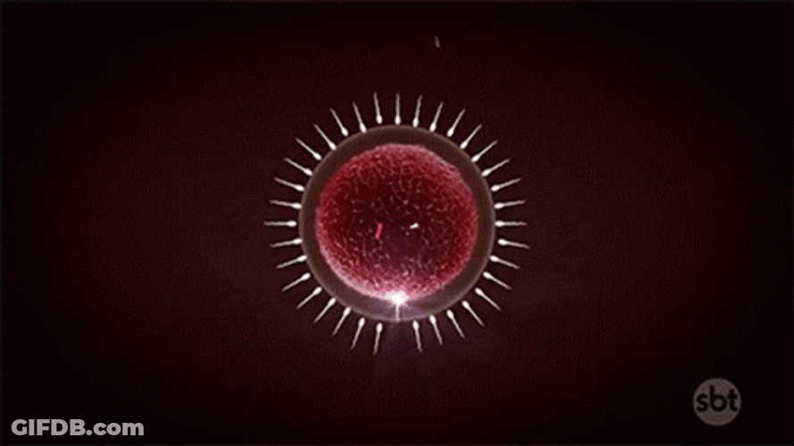 DNA Title Animation SBT GIF