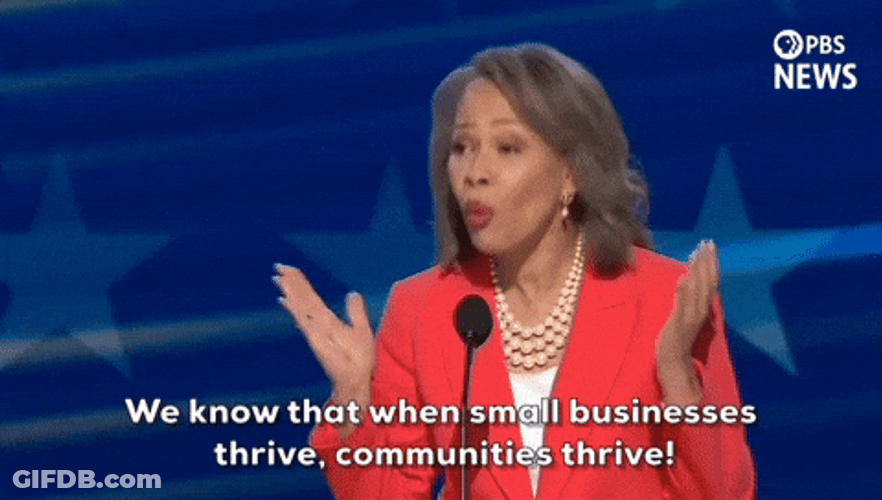 Dnc Lisa Blunt Rochester GIF