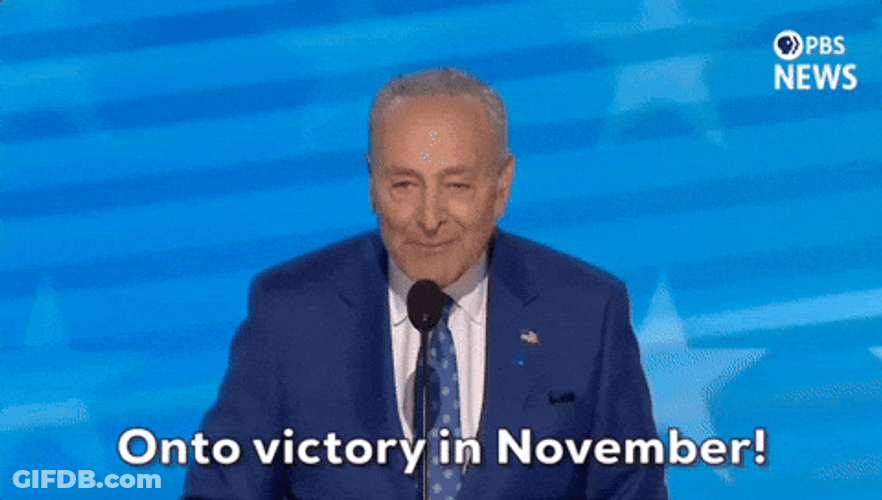 Dnc Senator Chuck Schumer GIF