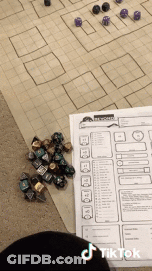 DND Playing With Cat As DM GIF