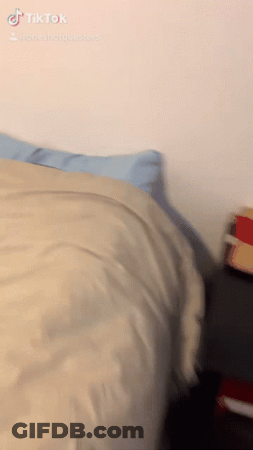 DND Rolling For Bed GIF
