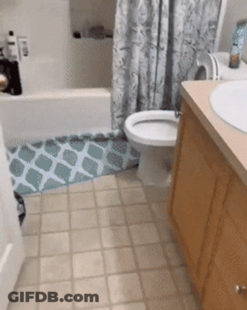 DND Rolling In Bathroom GIF