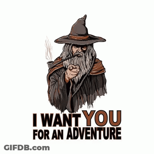DND Wizard Wants You For An Adventure GIF