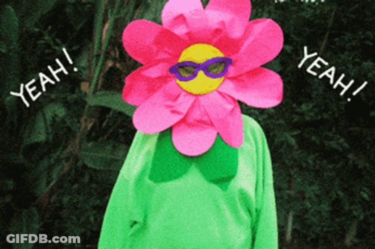 Do It Do It Dancing Flower Costume GIF