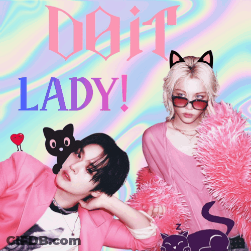 Do It Lady Do It Skz GIF