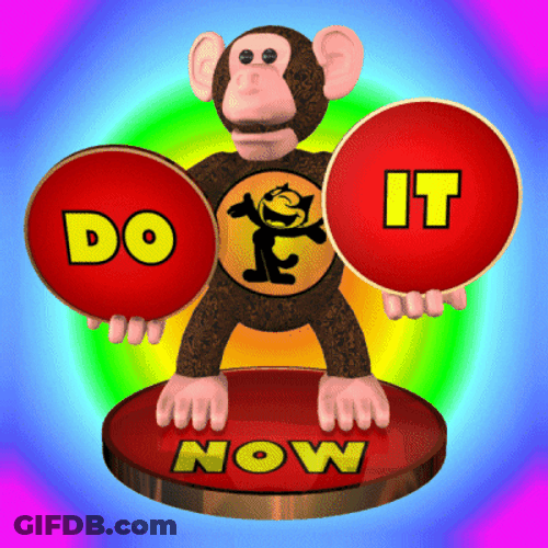 Do It Now Monkey Sticker GIF