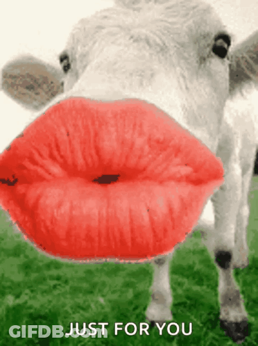 Do My Lips Look Swollen GIF