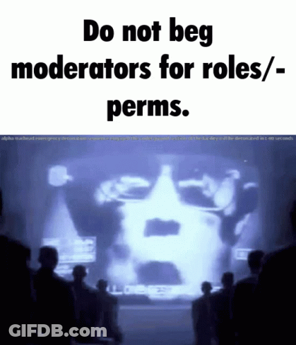 Do Not Beg Moderators For Roles Perms GIF