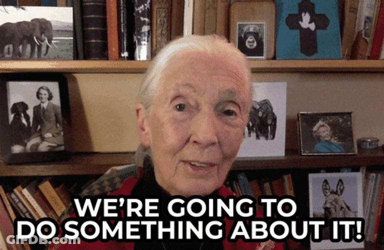 Do Something About It Now GIF