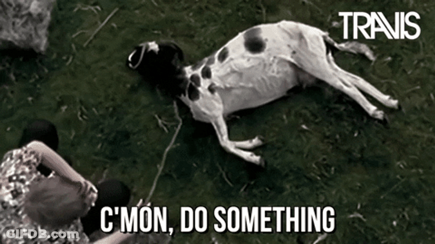 Do Something Not Moving GIF