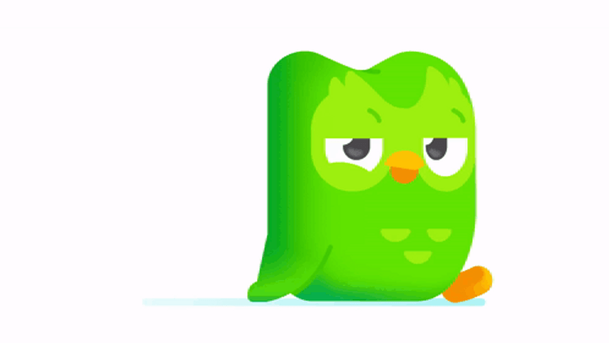 Do You Duolingo Meme GIF
