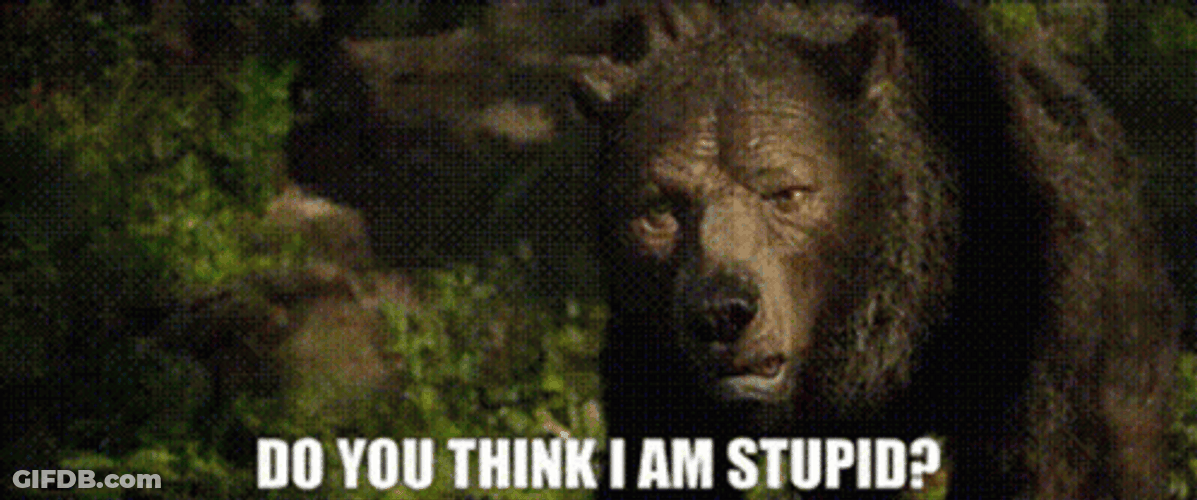 Do You Think Im Stupid Baloo GIF