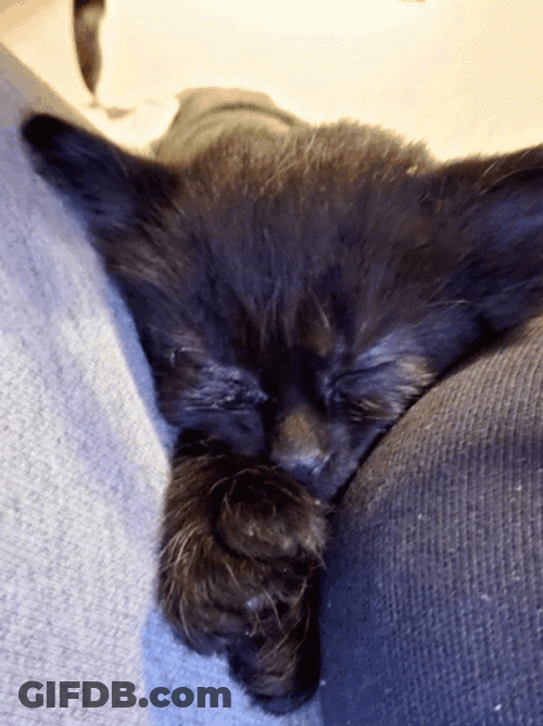 Dobby GIF