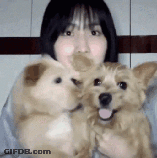 Dobby GIF