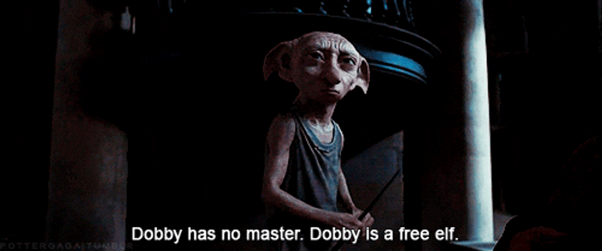 Dobby Is A Free Elf GIF