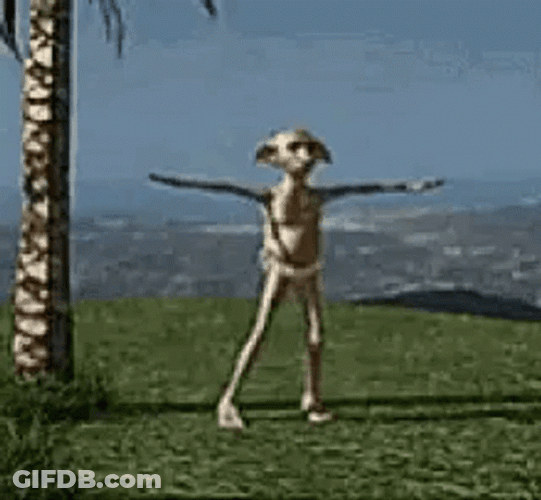 Dobby Is Free And Dancing GIF