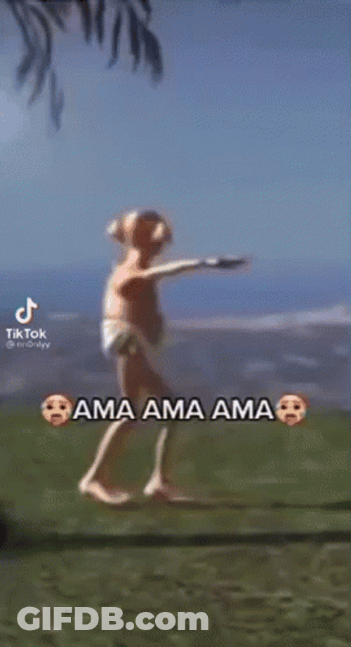 Dobby Is Free And Dancing A Nasty Girl GIF
