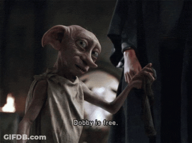 Dobby Is Free At Last GIF