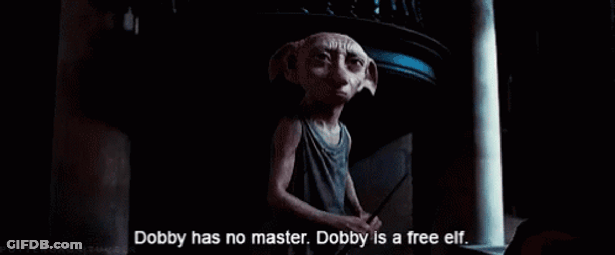 Dobby Is Free Elf GIF