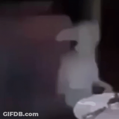 Dobby Is Free From Anything GIF