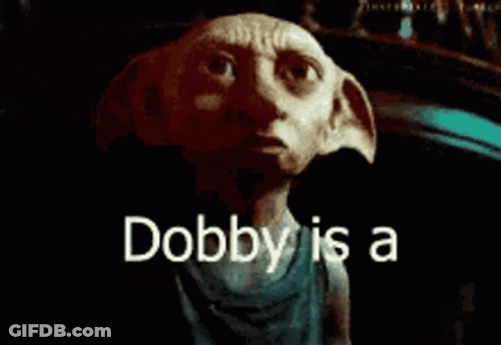 Dobby Is Free From Girls GIF
